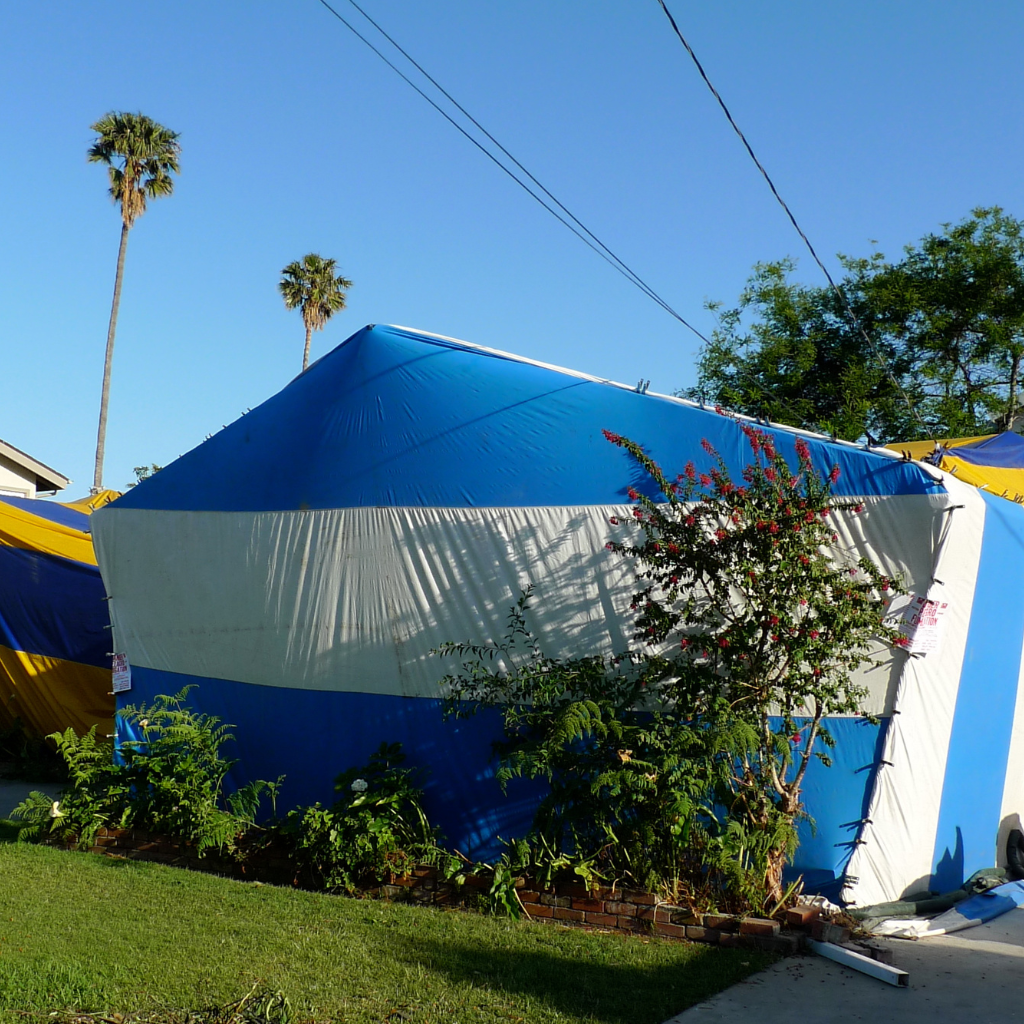 fumigation tent miami