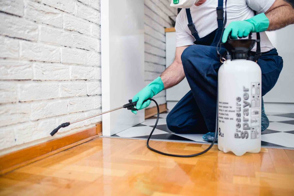 spraying floor cockroaches